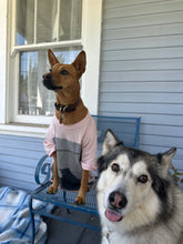 Load image into Gallery viewer, Limited-Run Second Life T-Shirt in Pink (2023)
